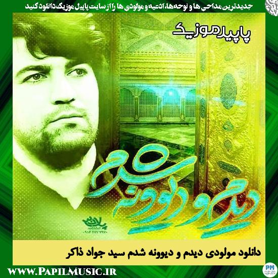 دانلود آهنگ دیدم و دیوونه شدم از سید جواد ذاکر